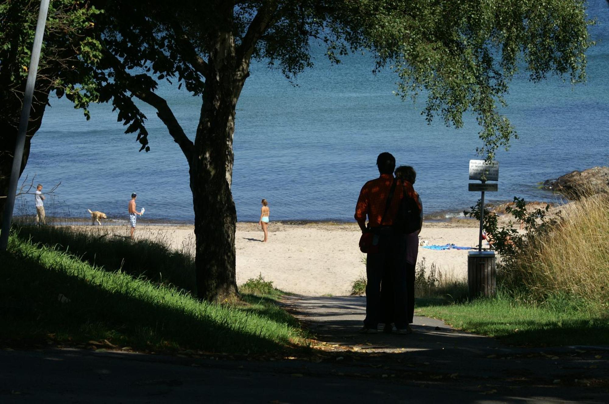 Sandkaas Family Camping & Cottages Allinge-Sandvig ภายนอก รูปภาพ